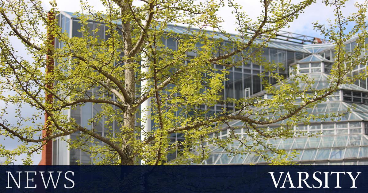 西奇威克网站发生种族主义辱骂后，大学加强了安保措施