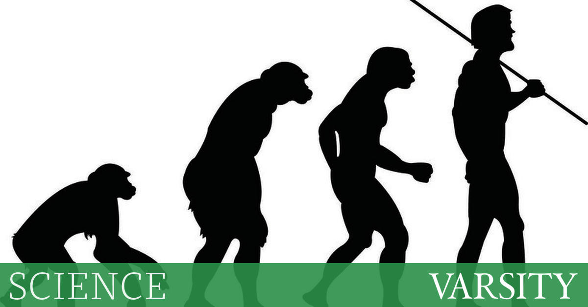 50岁的人的上升