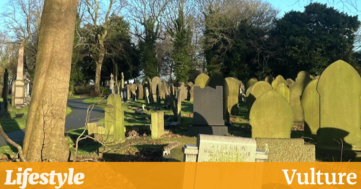 我会在墓地门口遇见你