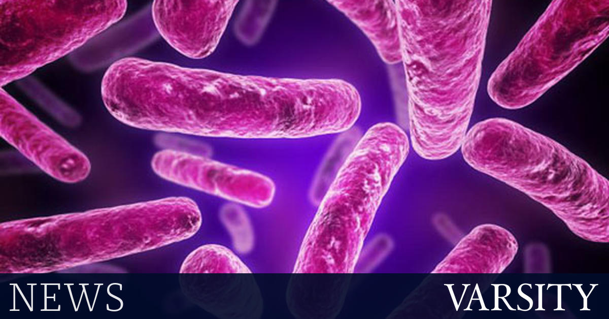 卫生官员敦促大学生遵循安全性行为