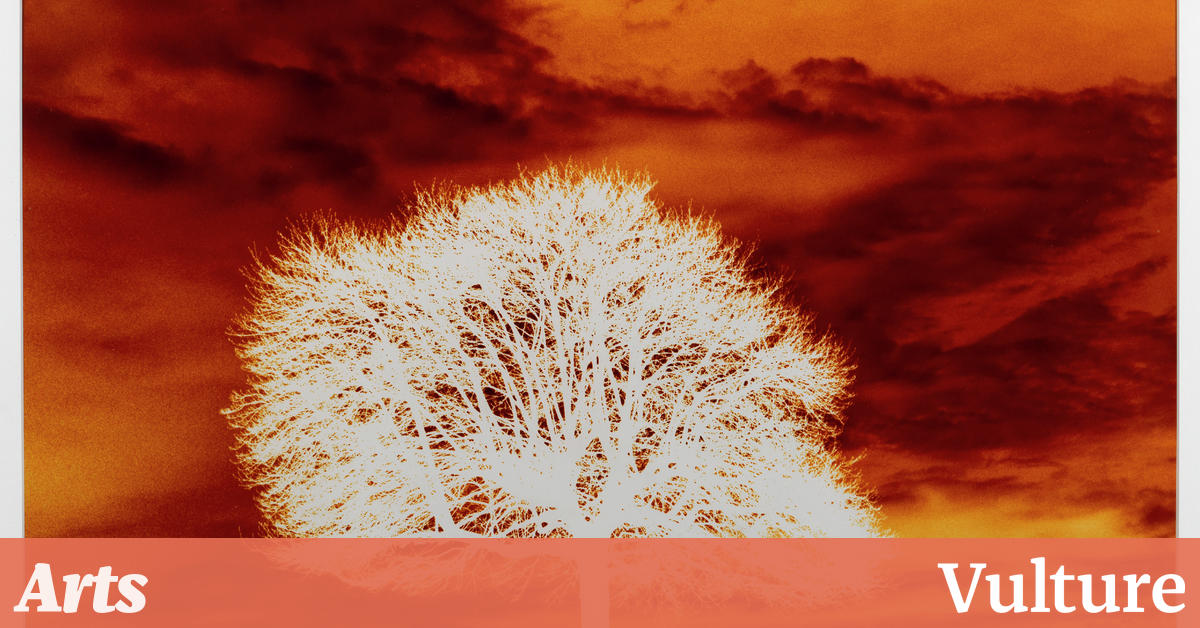 沃尔夫森新展览中的回顾现实