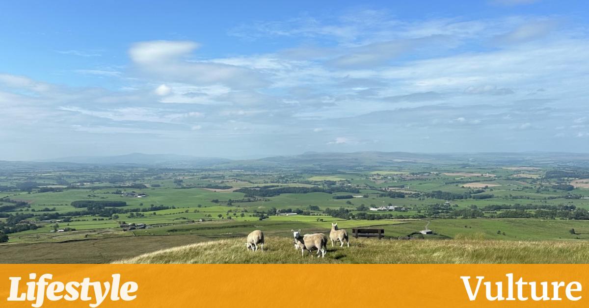英格兰农村地区的一个夏天