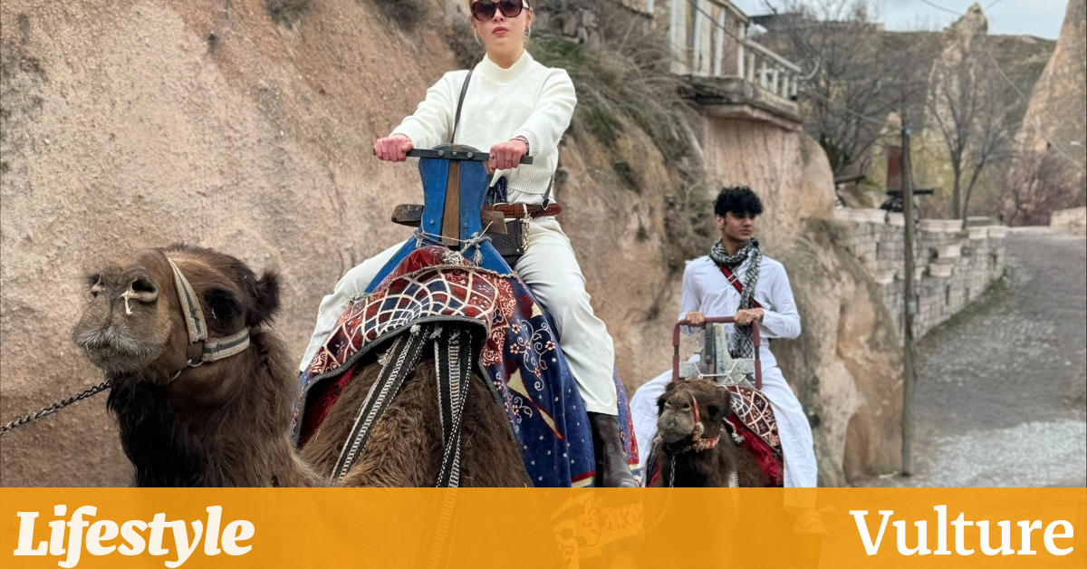 您实际上应该在哪里夏天？