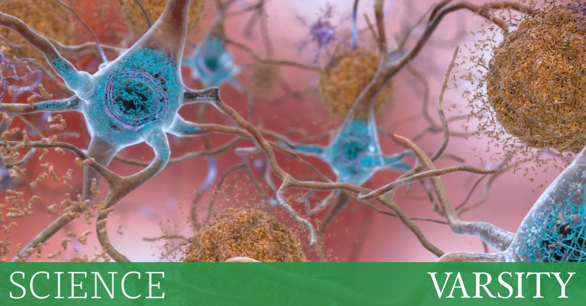 为什么“压抑”记忆实际上可能是错误的回忆