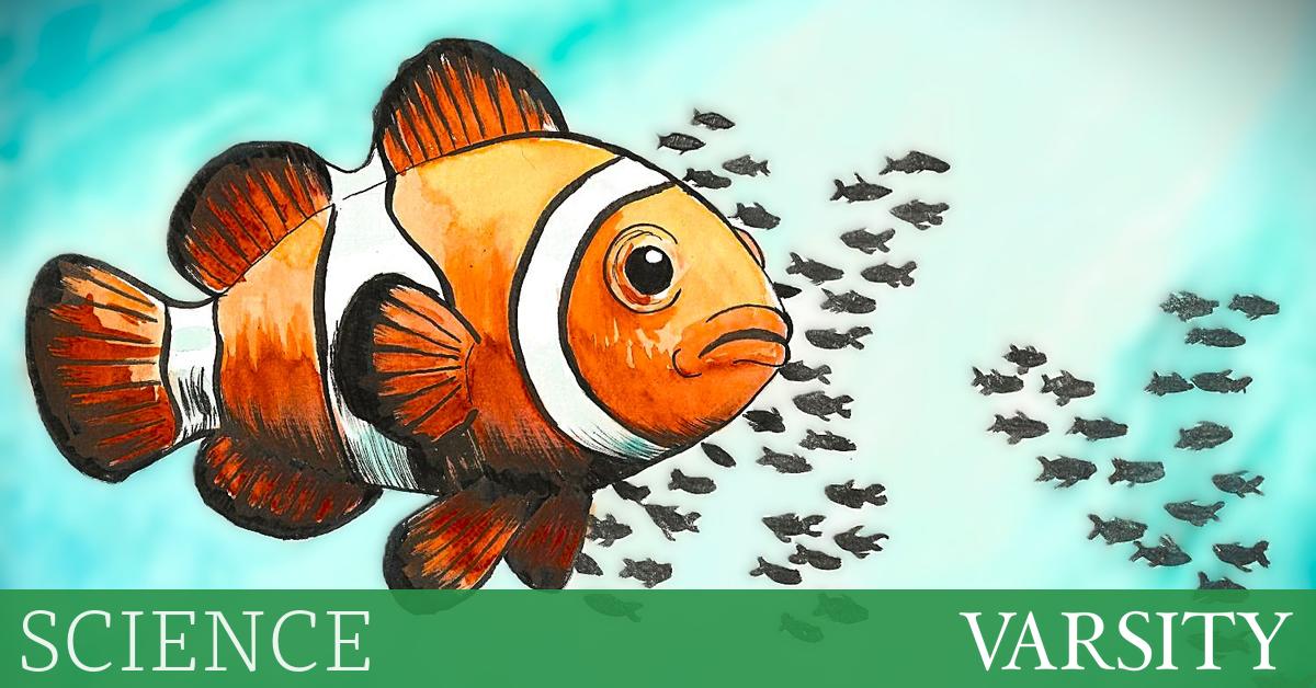 性别二进制真的是“基本生物学”吗？