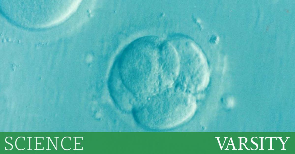 研究综述：第三周