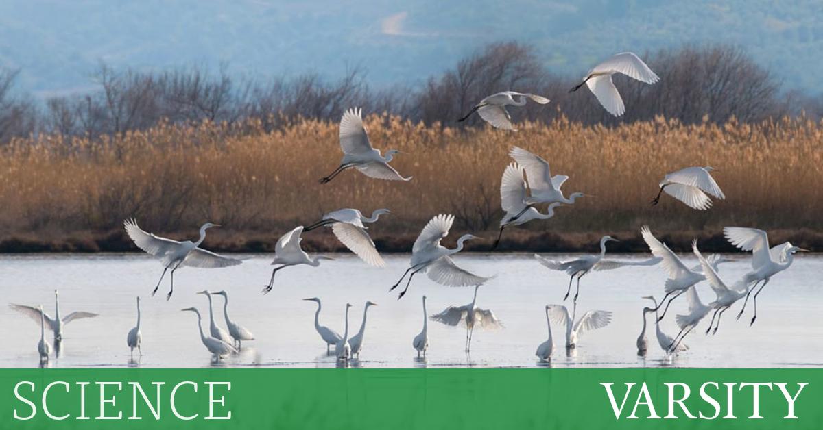 研究综述：第五周