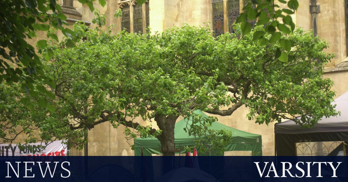 Uni斥资超过40万英镑请有争议的抗议律师