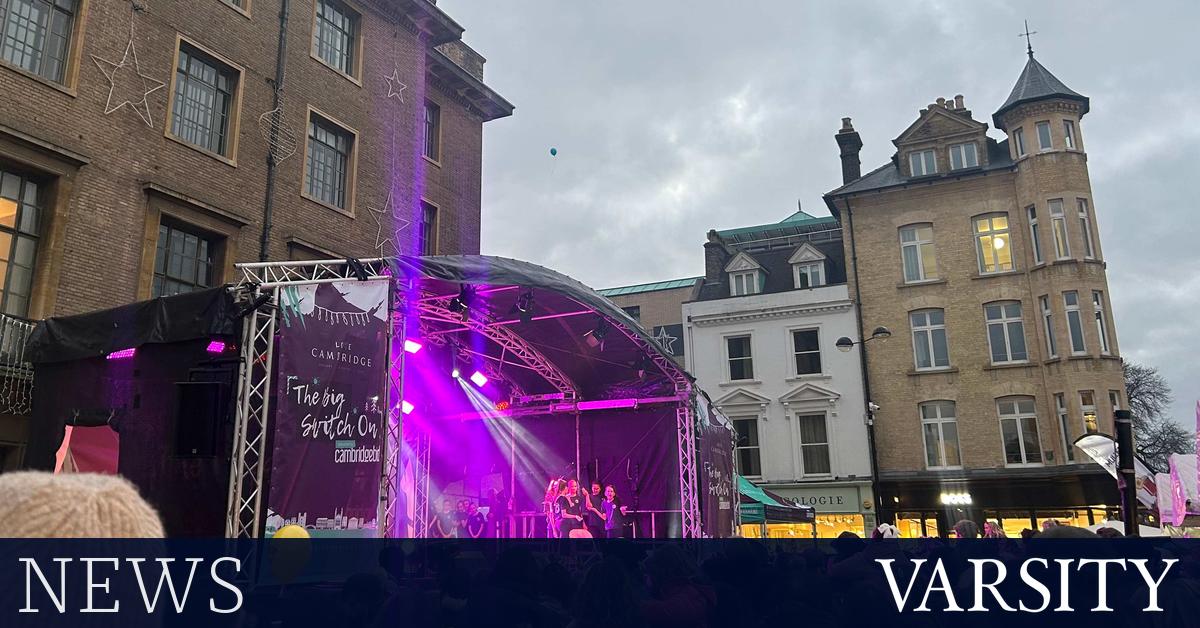 新闻简讯：猫的灾难性攀爬、隐蔽收藏和圣诞节庆祝活动