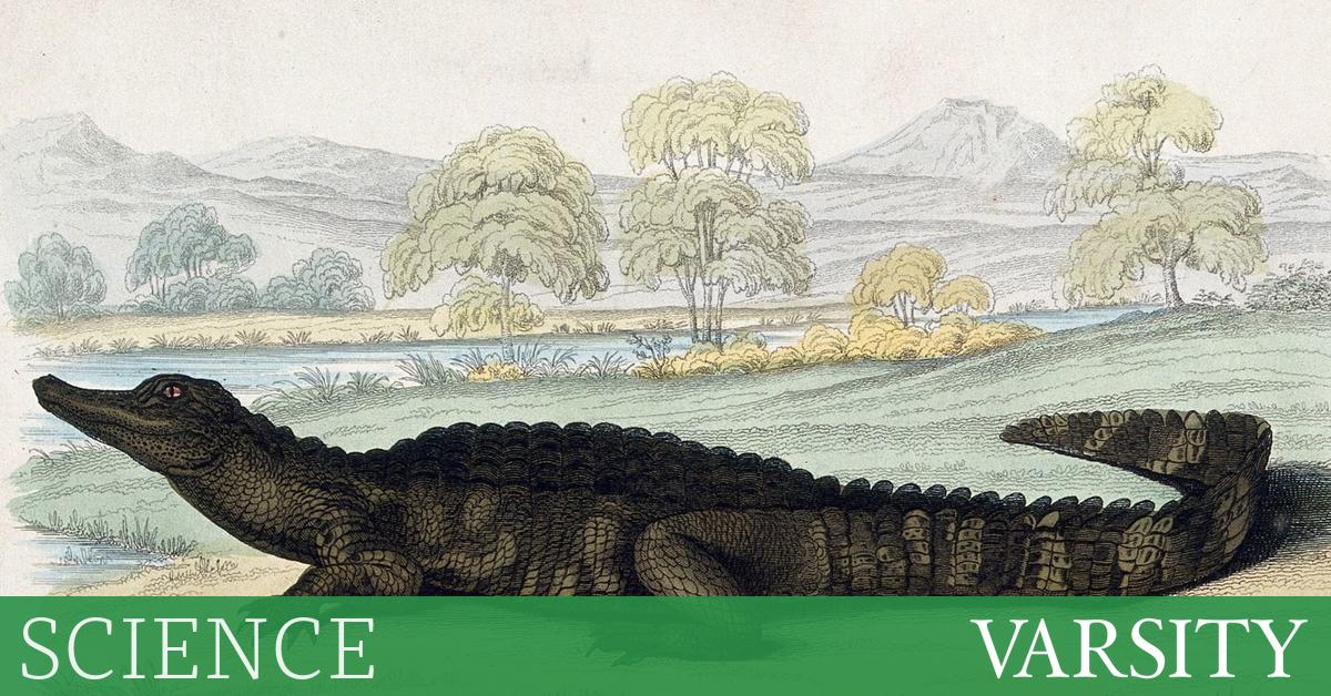 研究综述：第九周