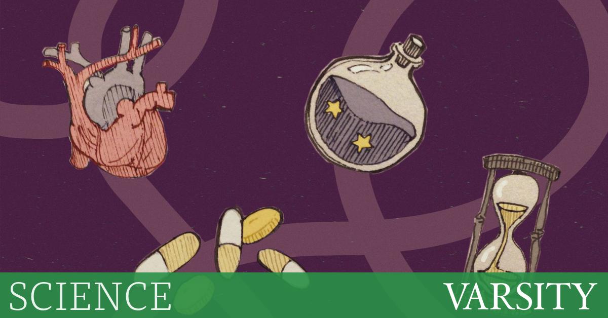 永远活着，或者尝试死去