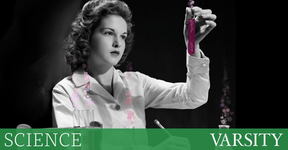 爱的科学：从吸引到依恋