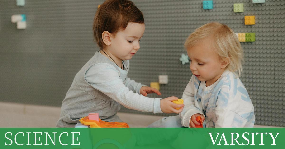 研究综述：第三周