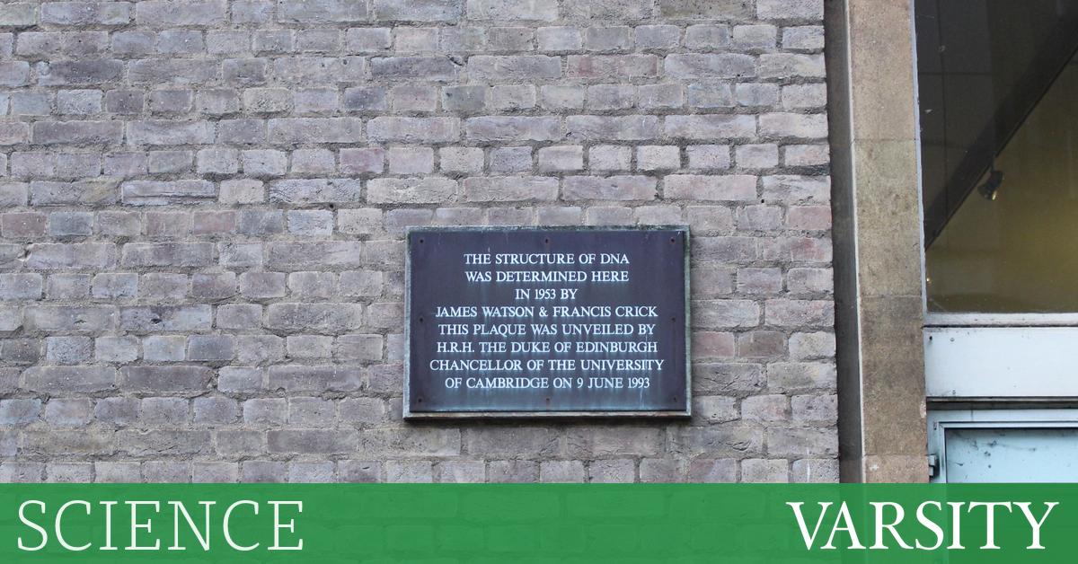 科学观光：剑桥 STEM 徒步之旅