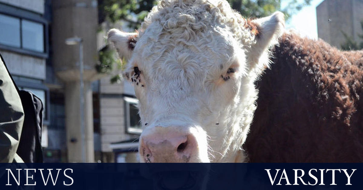 请愿书要求大学推翻纯素菜单的决定