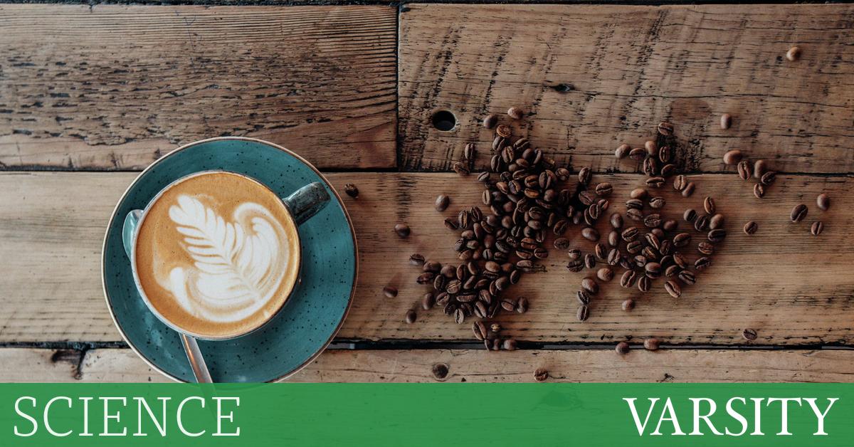 研究综述：第七周