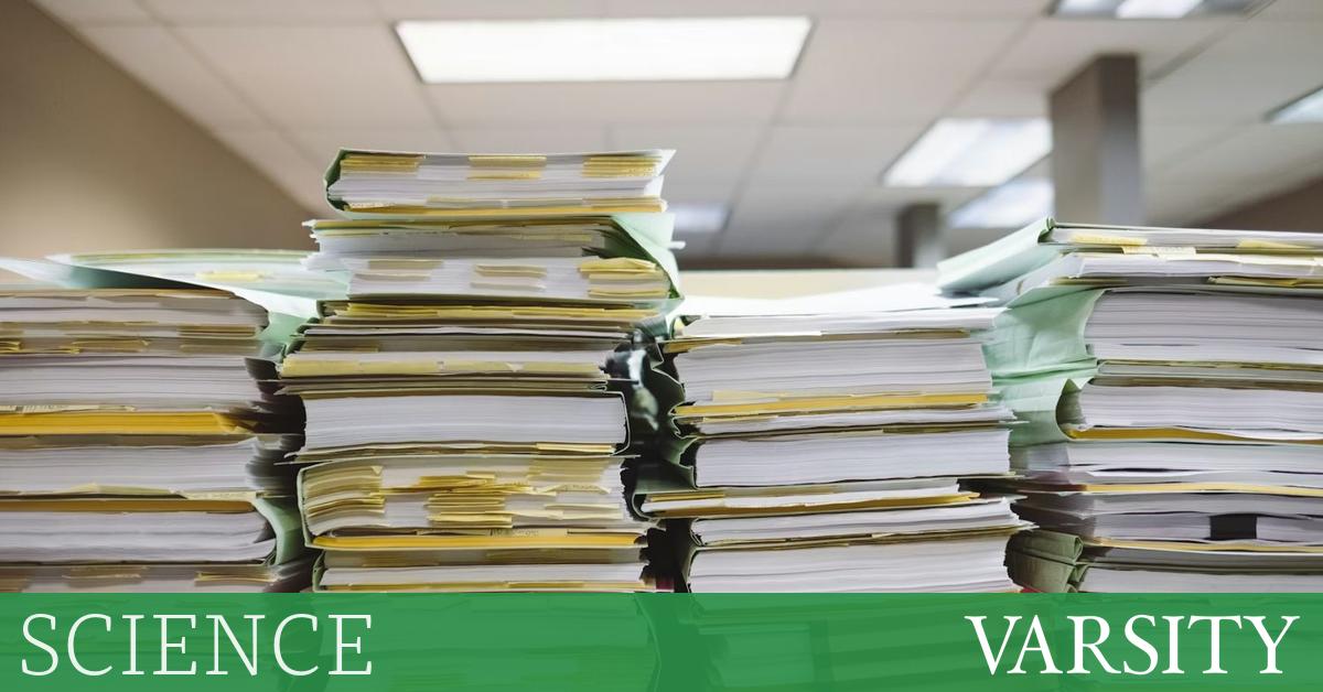 自然编辑的一天