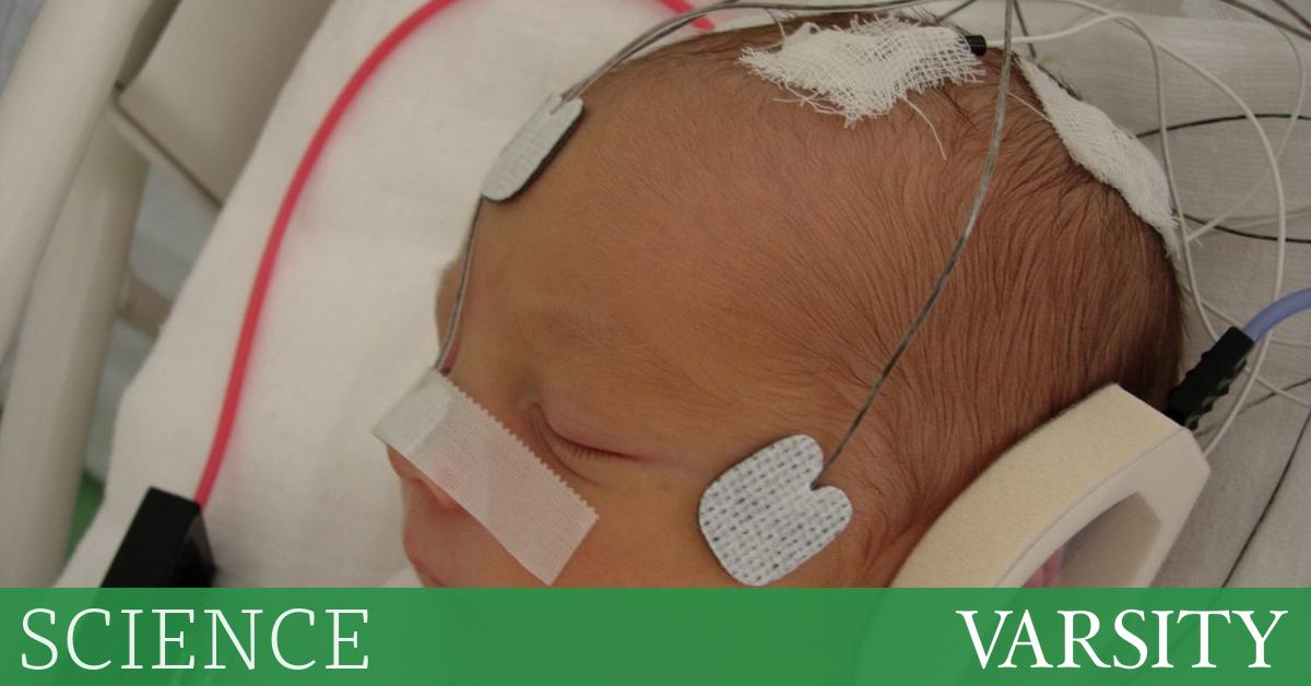 研究综述：第五周