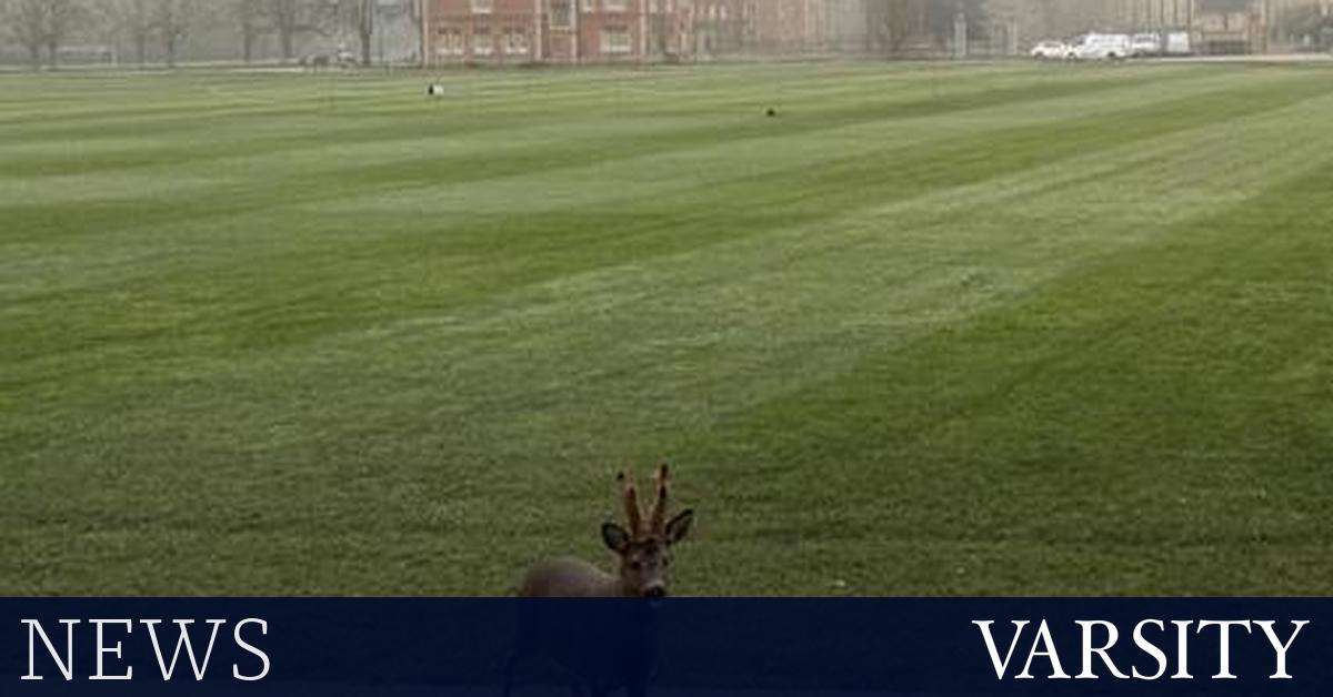 耶稣学院“jdeer”搬迁