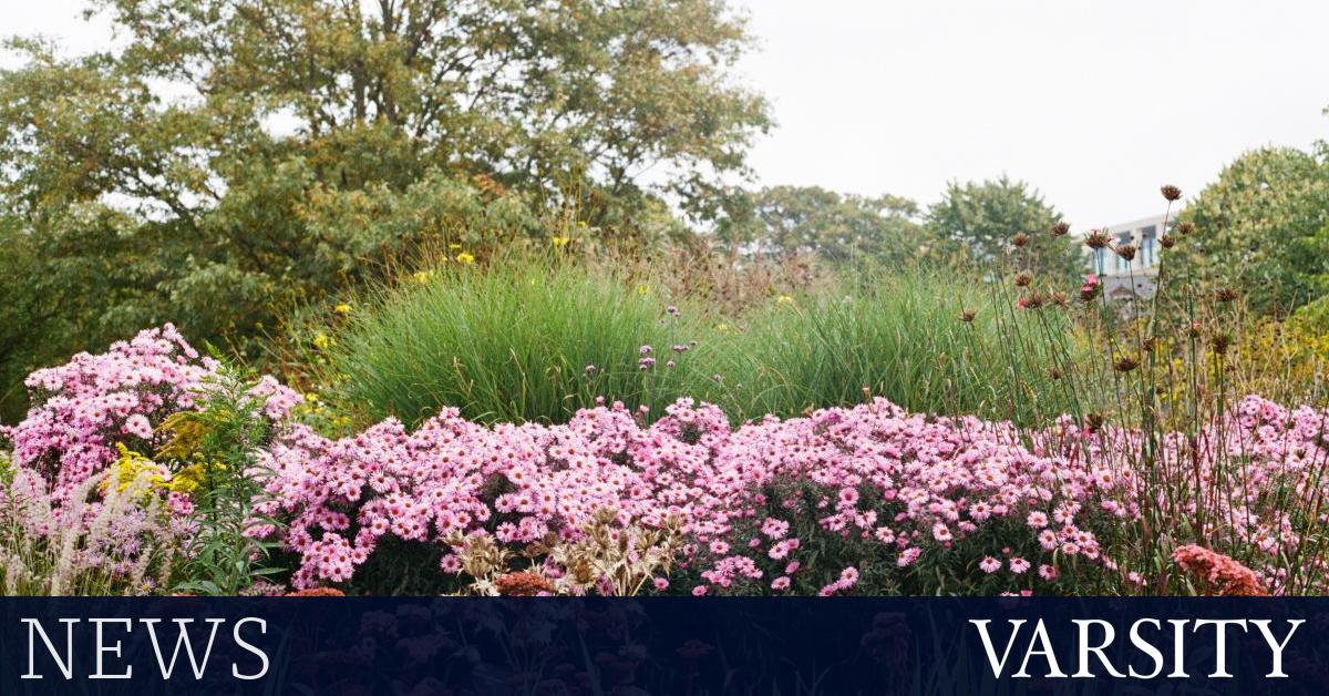 新的植物学课程使用达尔文研究的材料