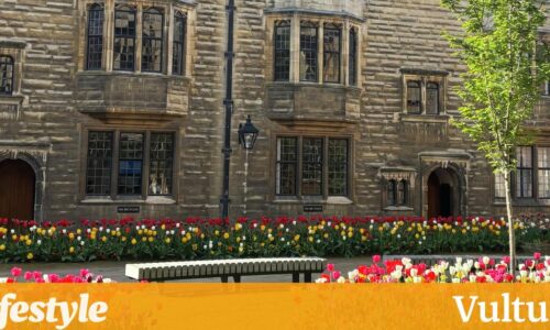 你是哪一朵春天的花？