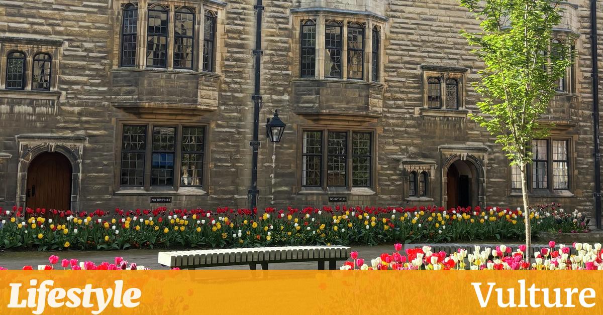 你是哪一朵春天的花？