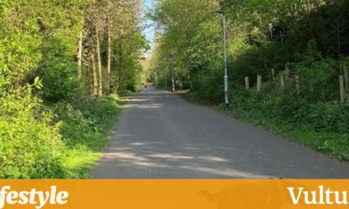 关于不要失去理智的建议