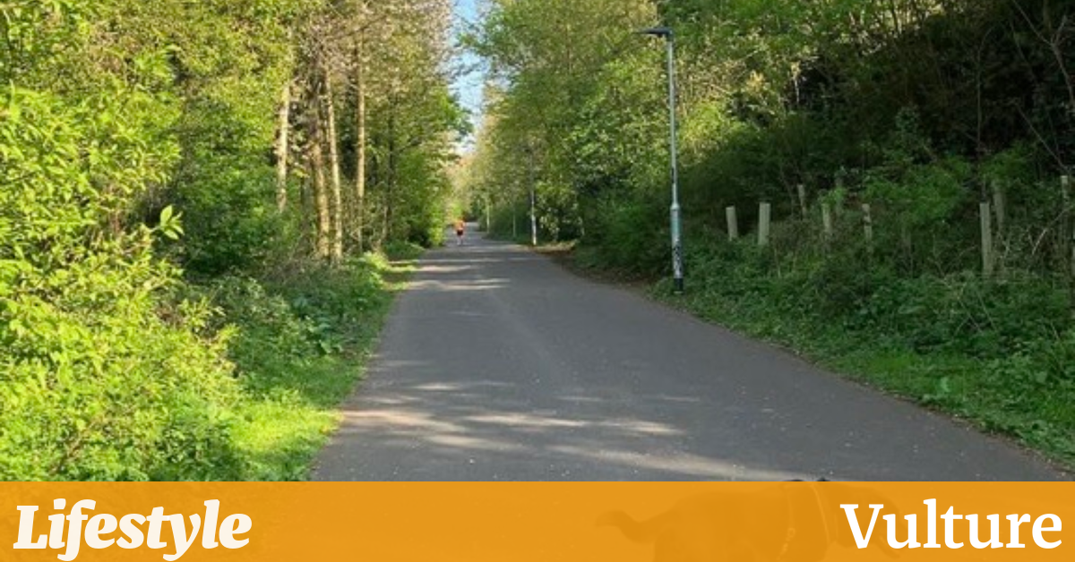 关于不要失去理智的建议