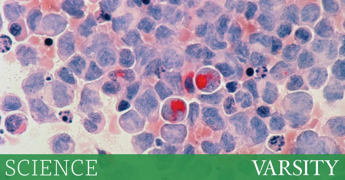 研究综述：第一周