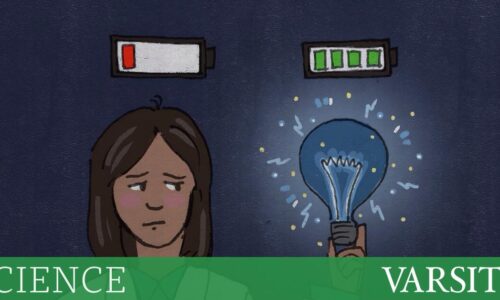 “千刀万剐”：雷切尔·奥利弗教授讲述 STEM 领域女性遭受苦难的原因
