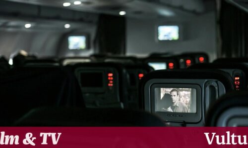 人们在回家的航班上到底看什么？