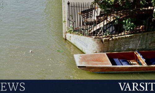 新闻简讯：花粉、公共交通和便携式运动