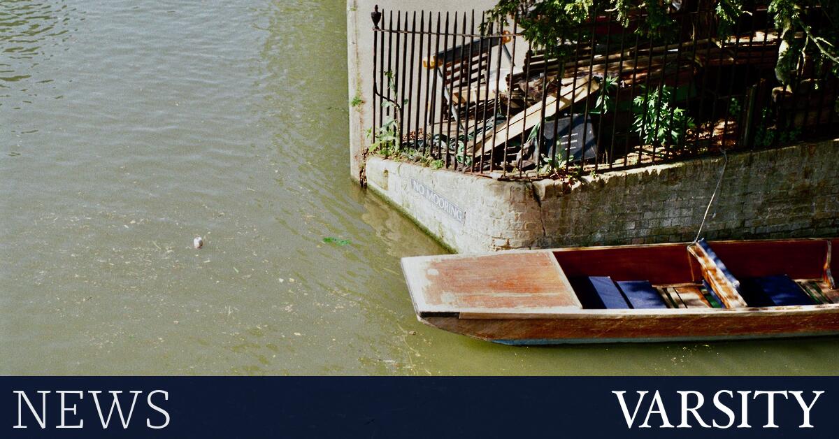 新闻简讯：花粉、公共交通和便携式运动
