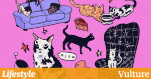 Catte Latte：令人抓狂还是灾难性的？