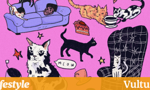 Catte Latte：令人抓狂还是灾难性的？